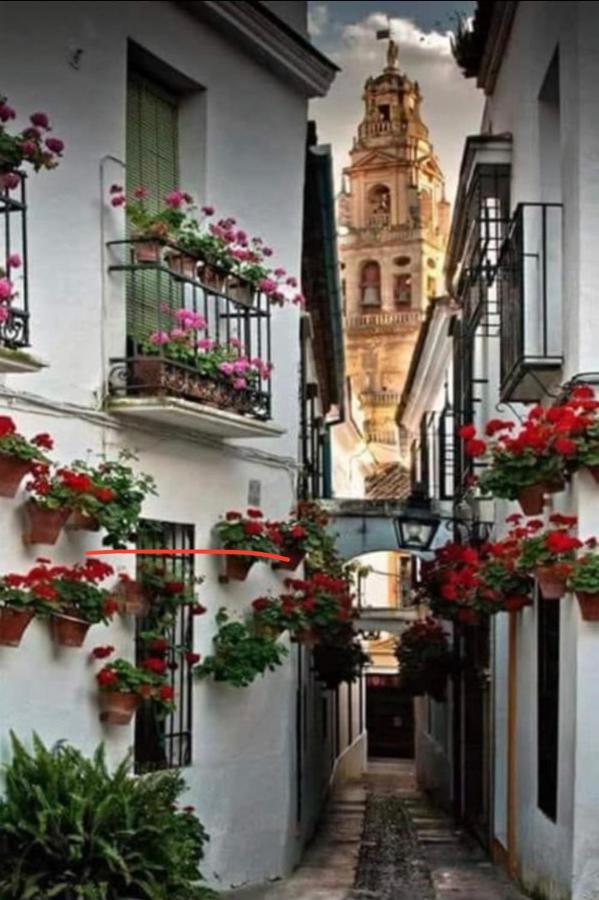 Casa Isa Daire Córdoba Dış mekan fotoğraf